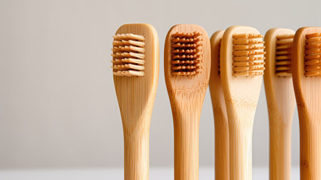 sustainable bamboo toothbrushesの素材