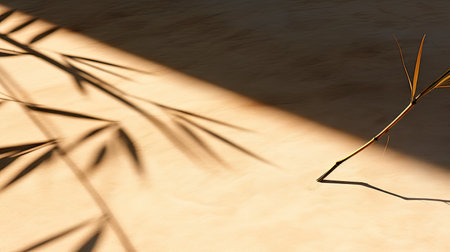 sunlight bamboo shadowの素材