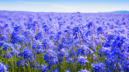 azure background blue summerの素材