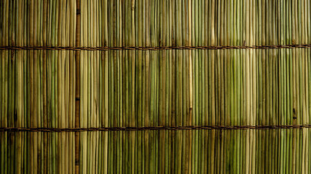 textile bamboo patternの素材