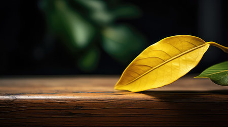 edges leaf lemon yellowの素材