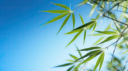 green bamboo leafの素材