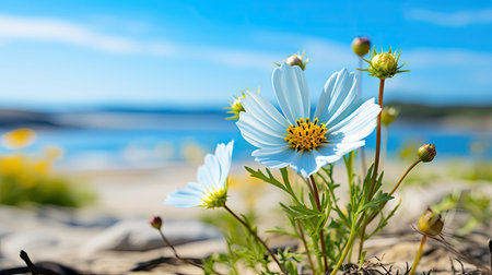 delicate light blue flowerの素材