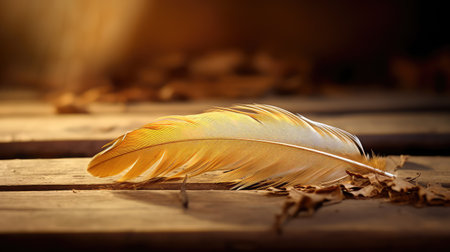 wooden golden featherの素材