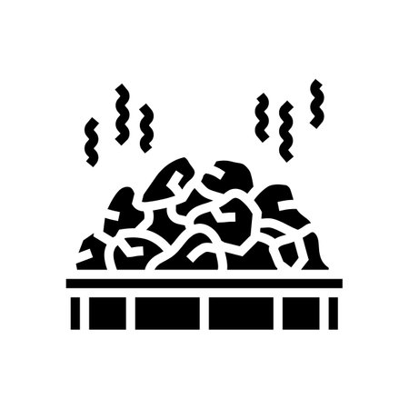 rocks sauna glyph icon vector illustrationのイラスト素材