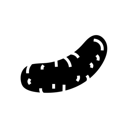 blood sausage meat glyph icon vector illustrationのイラスト素材