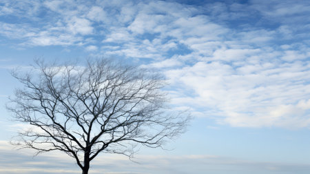 silhouette soft blue skyの素材
