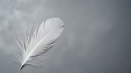 close silver gray backgroundの素材