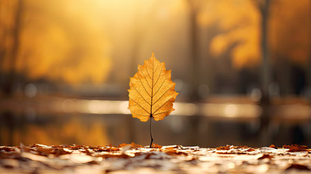 leaf golden gradientの素材