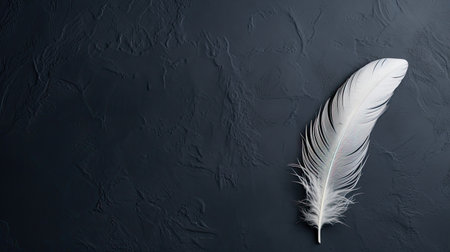 light dark slate backgroundの素材