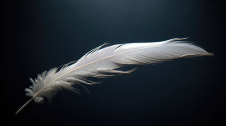 ethereal soft dark backgroundの素材