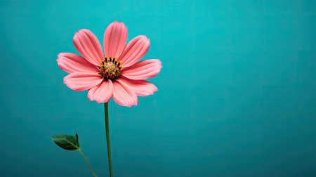 aesthetic pink and turquoise backgroundの素材