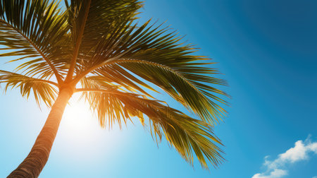 vibrant sun wave palm treeの素材