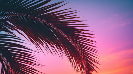 shadows palm leaves pink greenの素材