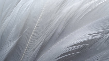 delicate soft gray textureの素材