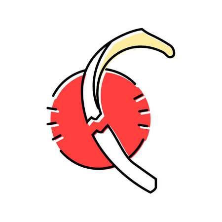 fractured rib fracture injury color icon vector illustrationのイラスト素材