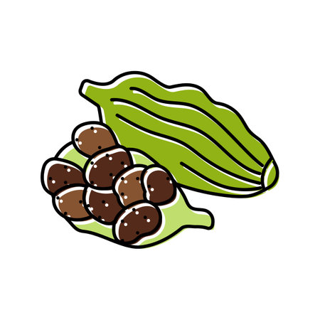 cardamom pods ayurvedic herb color icon vector illustrationのイラスト素材