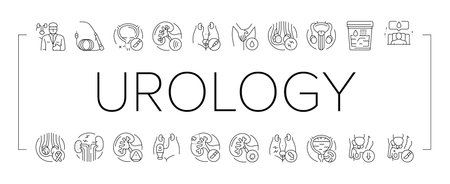 urology prostate urinary kidney icons set vectorのイラスト素材