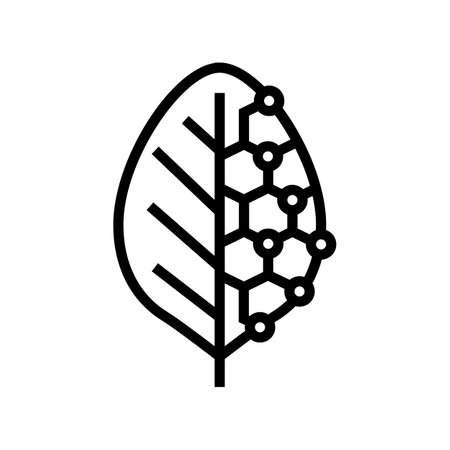 biotech leaf agri tech line icon vector illustrationのイラスト素材