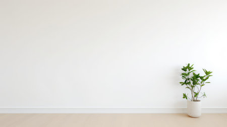 modernism empty white wallの素材