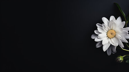 impact black square backgroundの素材