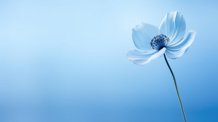 delicate cool blue backgroundの素材