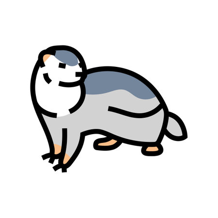 ferret playing pet home color icon vector illustrationのイラスト素材