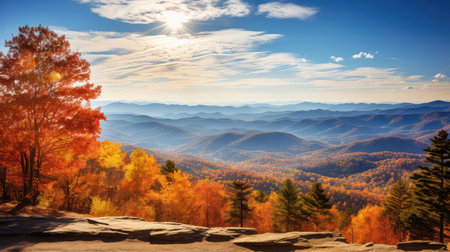 vista scenic sunny golden autumn landscapeの素材