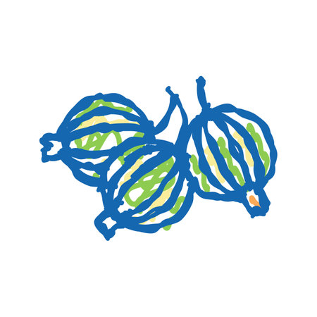 gooseberry juicy berry icon doodle illustrationのイラスト素材