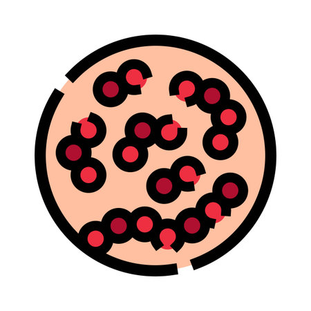 Streptococcus bacteria microscopic view causing infection