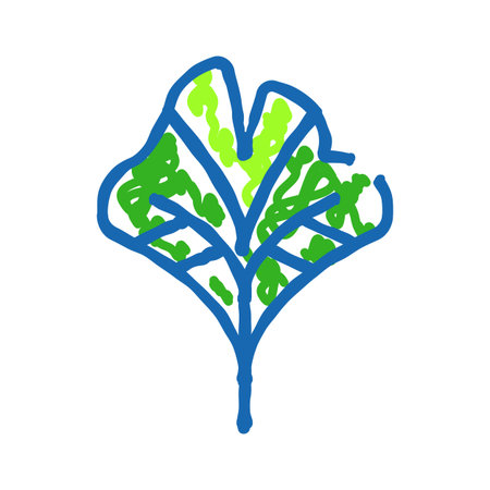 Ginkgo biloba leaf outline drawing with green fillingのイラスト素材