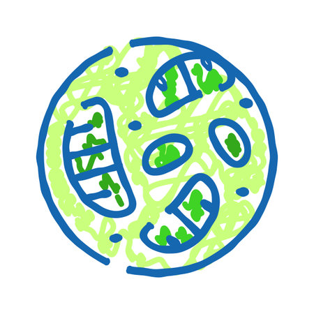 Plant cell organelle chloroplast biological drawing illustrationのイラスト素材