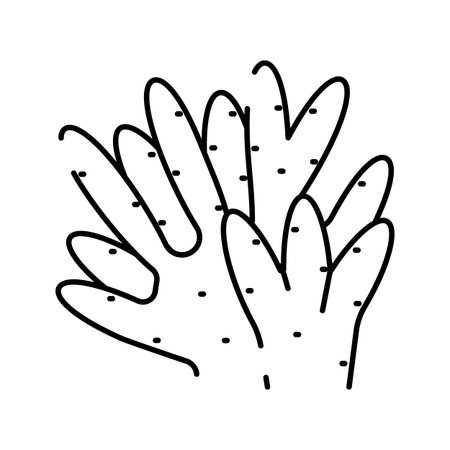 Cactus plant drawing line art on white backgroundのイラスト素材