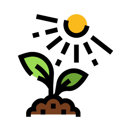 Green plant sprout growing in soil receiving sunのイラスト素材
