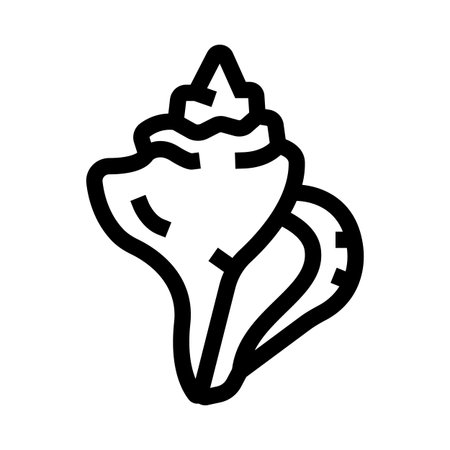 Conch shell outline vector icon on white backgroundのイラスト素材