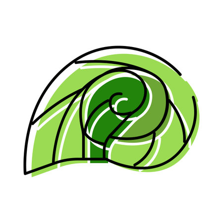 Green seashell outline in spiral line art drawingのイラスト素材