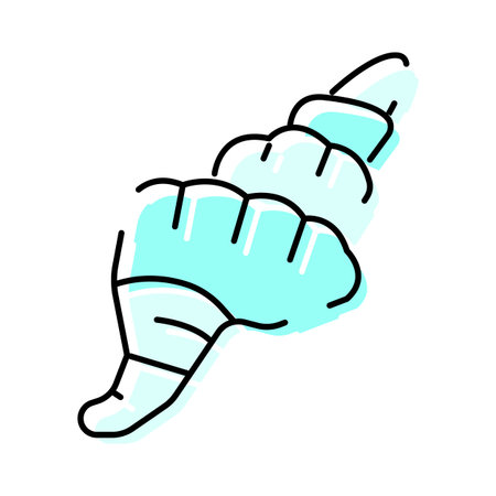 Seashell conch mollusk line art illustration drawingのイラスト素材