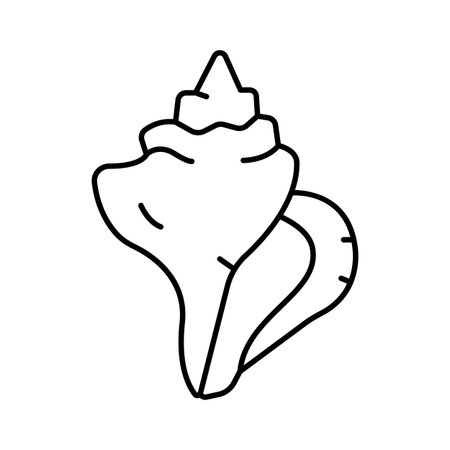 Conch seashell icon line art drawing illustrationのイラスト素材