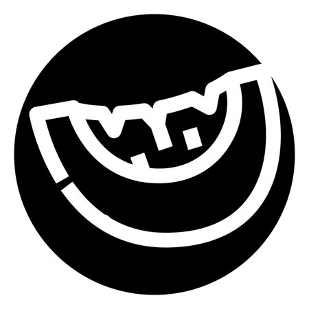 Melon slice fruit healthy food icon designのイラスト素材