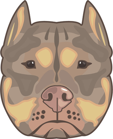 Pitbull vector illustration clip-art image eps fileのイラスト素材