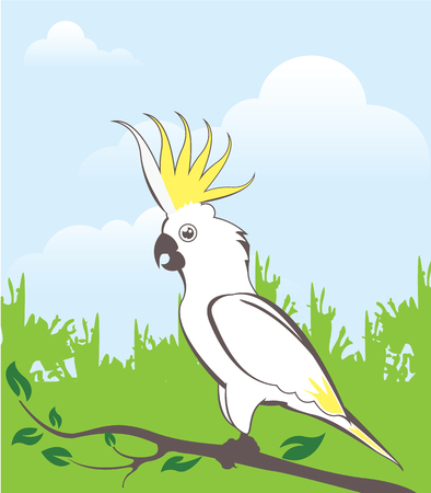 White parrot vector illustration exotic bird imageのイラスト素材