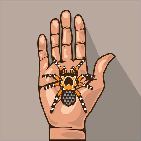 Open hand with a spider vector illustrationのイラスト素材