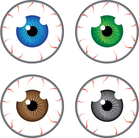 Eye ball colors vector illustration clip-art imageのイラスト素材