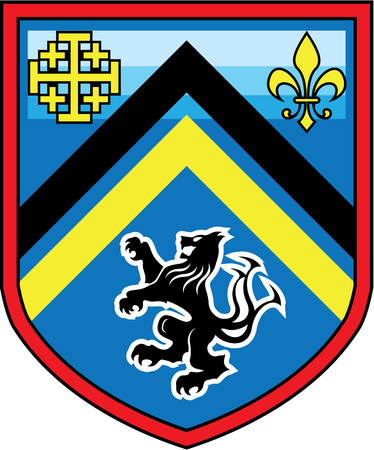 Coat of Arms Dragon Lion 2 stripes vector shieldのイラスト素材