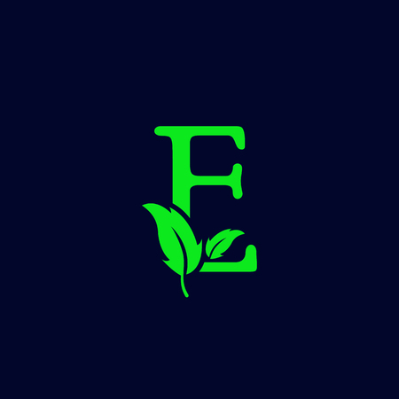 letter e leaf nature, eco green logo template vector illustrationのイラスト素材