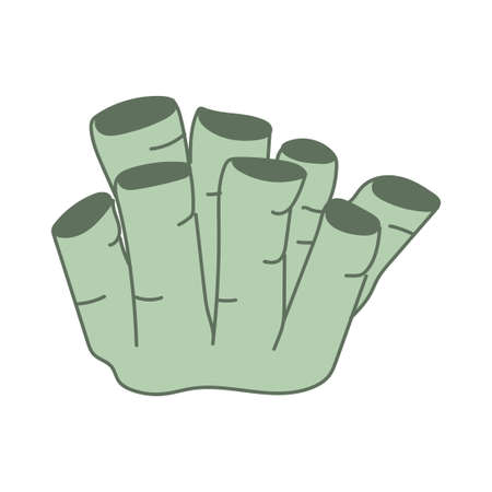 cute seaweed hand drawn vector illustration design element