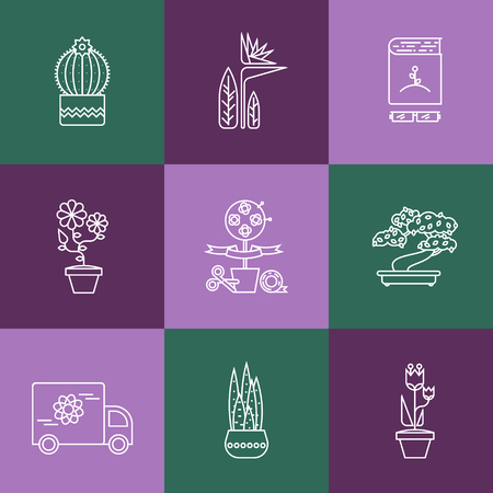 Hello spring and summer. Different types of House plants illustration.のイラスト素材