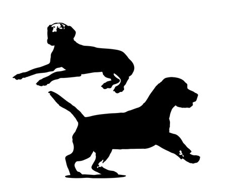 Vector silhouette of a dog on a white background. Symbol of pets.のイラスト素材