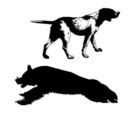 Vector image of a dog. Silhouette of a dog.のイラスト素材