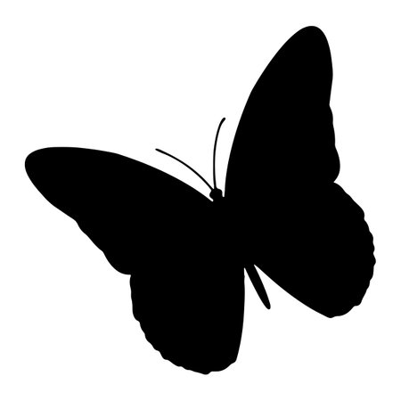 Butterfly silhouette. Vector isolated on white.のイラスト素材